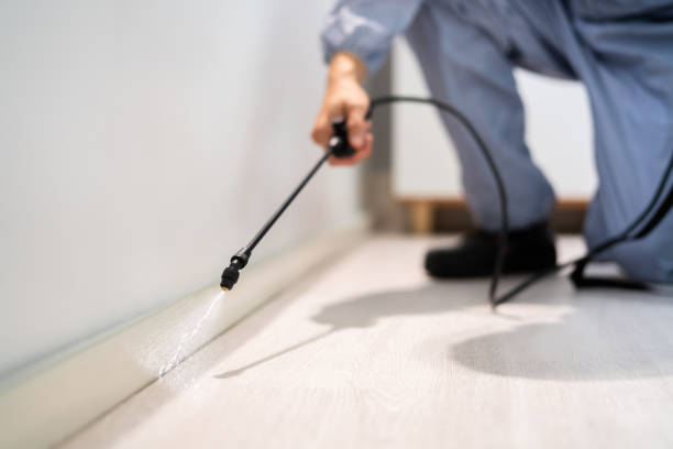 Licensed Termite Control service in Eunice, NM - Nex Pest Control