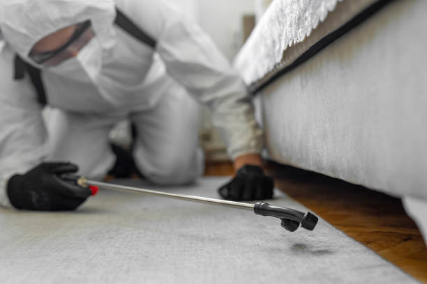 Professional Termite Control technician working in Eunice, NM
