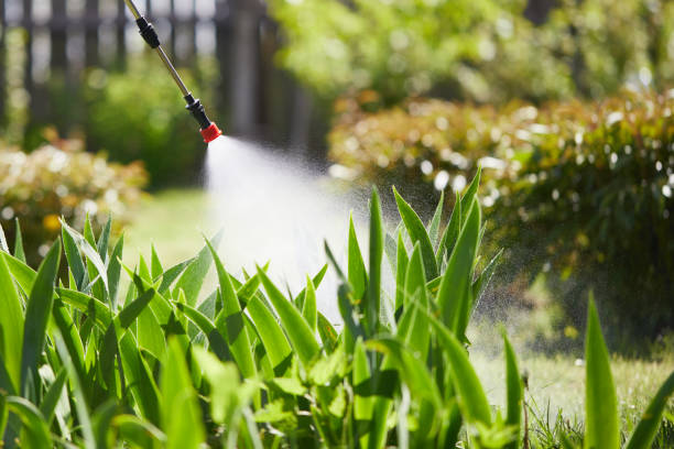 24/7 Emergency Termite Control experts in Eunice, NM